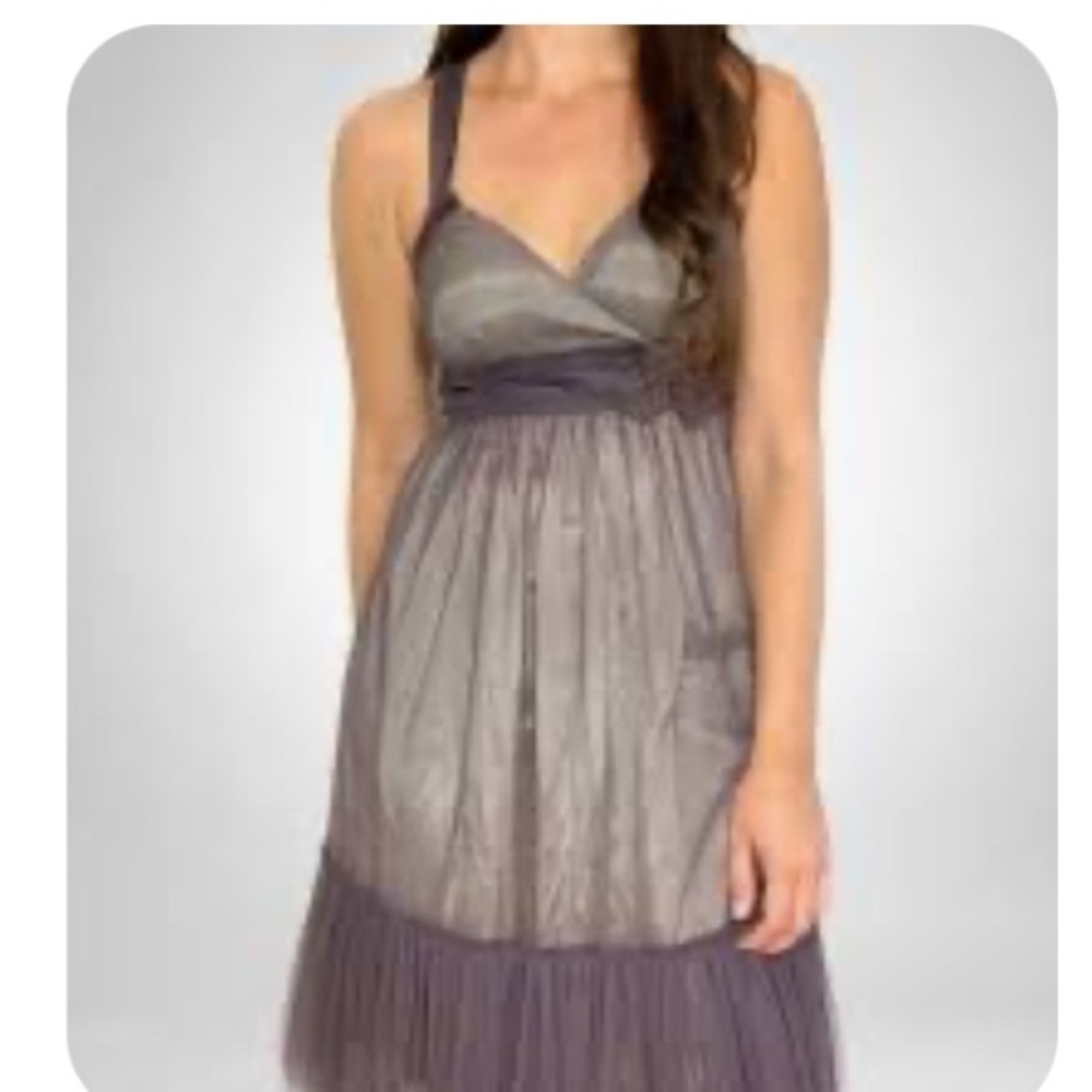 Moulinette Soeurs Tulle Dress Anthropologie Size 2 Tulle Party Empire Waist Gray